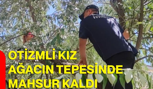 Otizmli kız ağacın tepesinde mahsur kaldı
