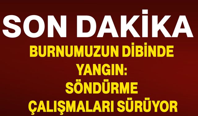 Burnumuzun dibinde yangın: Söndürme çalışmaları sürüyor.