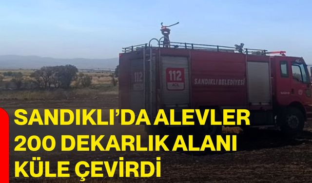 Sandıklı’da alevler 200 dekarlık alanı küle çevirdi