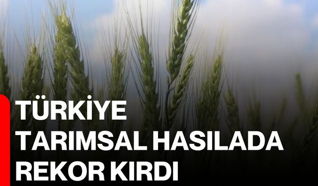 Türkiye, tarımsal hasılada rekor kırdı
