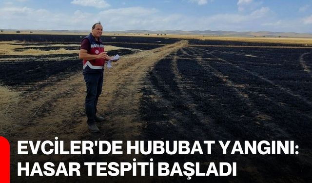 Evciler'de hububat yangını: Hasar tespiti başladı