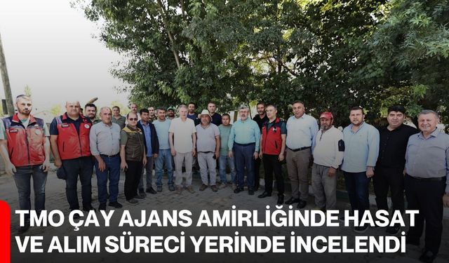 TMO Çay Ajans Amirliğinde hasat ve alım süreci yerinde incelendi