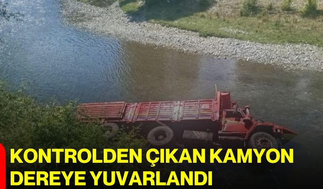 Kontrolden çıkan kamyon dereye yuvarlandı