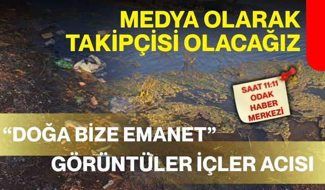 Duyarsızlığın bedelini doğa ödüyor