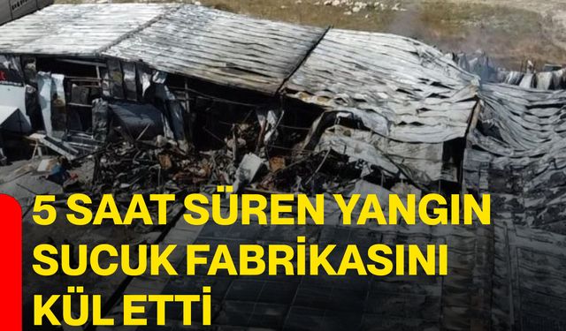 5 saat süren yangın sucuk fabrikasını kül etti