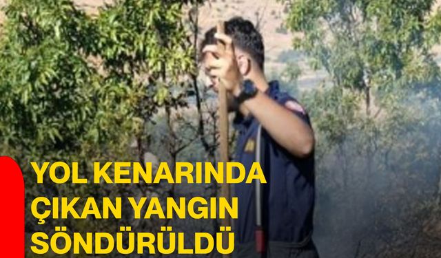 Yol kenarında çıkan yangın söndürüldü