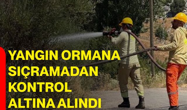 Yangın ormana sıçramadan kontrol altına alındı