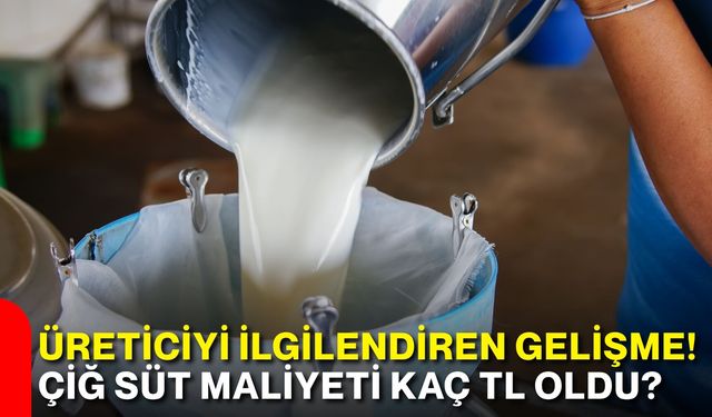 Üreticiyi ilgilendiren gelişme! Çiğ süt maliyeti kaç TL oldu?