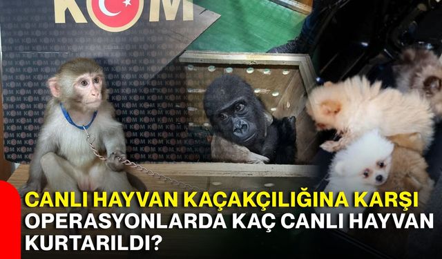 Canlı hayvan kaçakçılığına karşı operasyonlarda kaç canlı hayvan kurtarıldı?