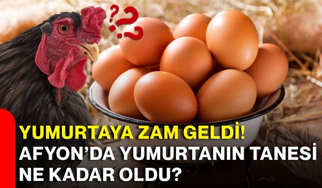 Yumurtaya zam geldi! Afyon’da yumurtanın tanesi ne kadar oldu?