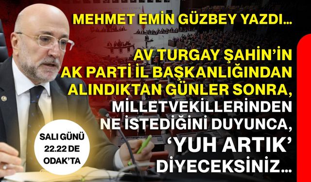 Mehmet Emin Güzbey yazdı…