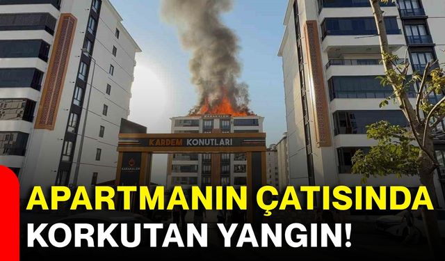 Apartmanın çatısında korkutan yangın!