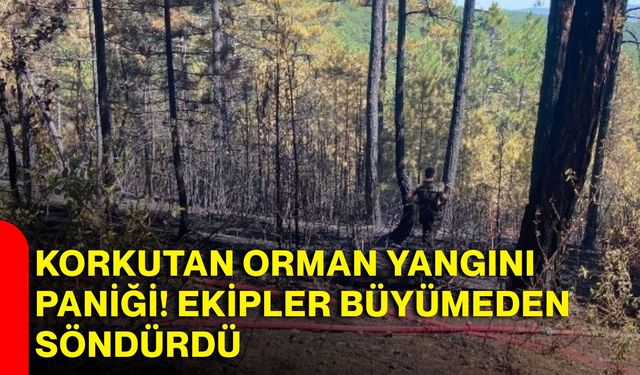 Korkutan Orman yangını paniği! Ekipler büyümeden söndürdü