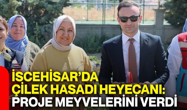 İscehisar’da çilek hasadı heyecanı: Proje meyvelerini verdi