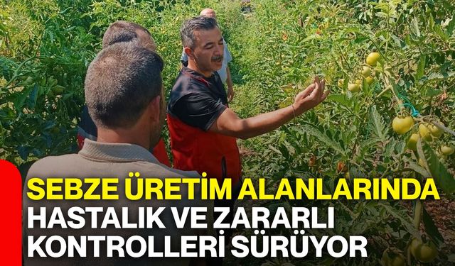 Sebze üretim alanlarında hastalık ve zararlı kontrolleri sürüyor