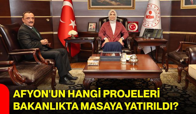 Afyon'un hangi projeleri Bakanlıkta masaya yatırıldı?
