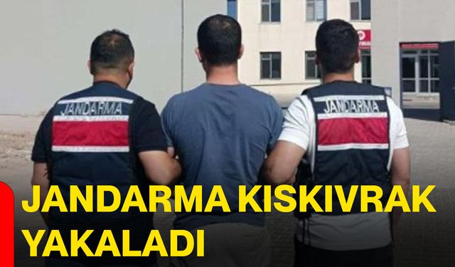 Jandarma kıskıvrak yakaladı