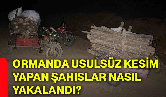 Ormanda usulsüz kesim yapan şahıslar nasıl yakalandı?