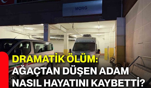 Dramatik ölüm: Ağaçtan düşen adam nasıl hayatını kaybetti?