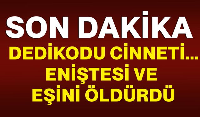 Dedikodu cinneti...Eniştesi ve eşini öldürdü