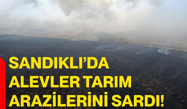 Sandıklı’da alevler tarım arazilerini sardı!