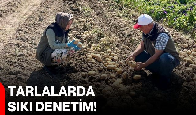 Tarlalarda sıkı denetim!