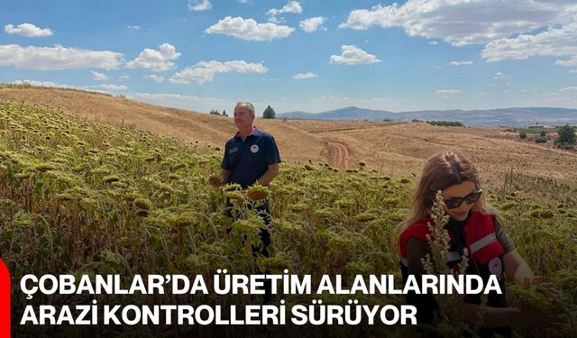 Çobanlar’da üretim alanlarında arazi kontrolleri sürüyor
