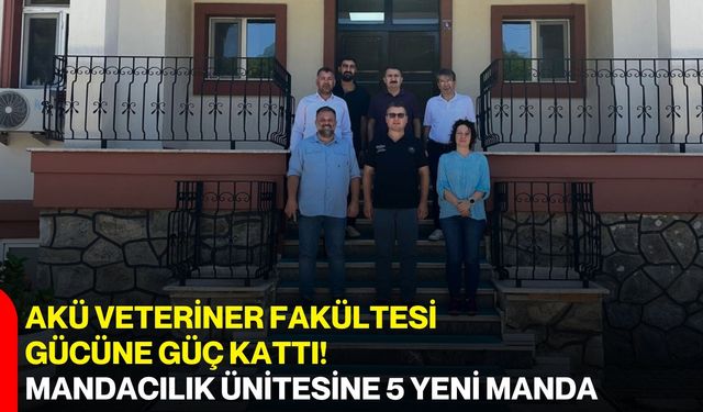 AKÜ Veteriner Fakültesi Gücüne Güç Kattı! Mandacılık Ünitesine 5 Yeni Manda