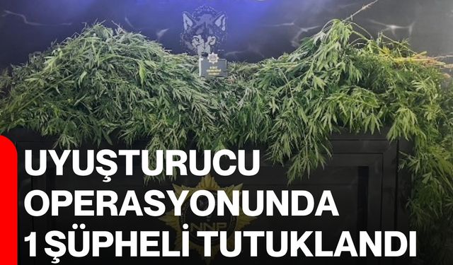 Uyuşturucu operasyonunda 1 şüpheli tutuklandı