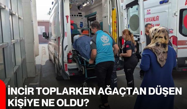 İncir toplarken ağaçtan düşen kişiye ne oldu?