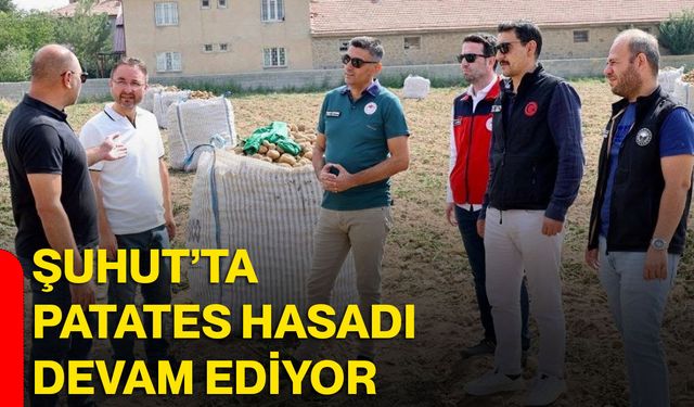 Şuhut’ta patates hasadı devam ediyor