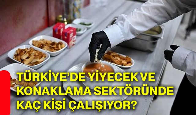 Türkiye’de yiyecek ve konaklama sektöründe kaç kişi çalışıyor?