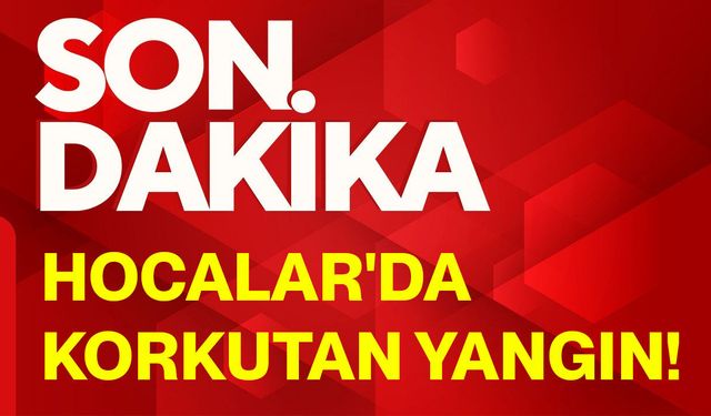 Hocalar'da korkutan yangın!