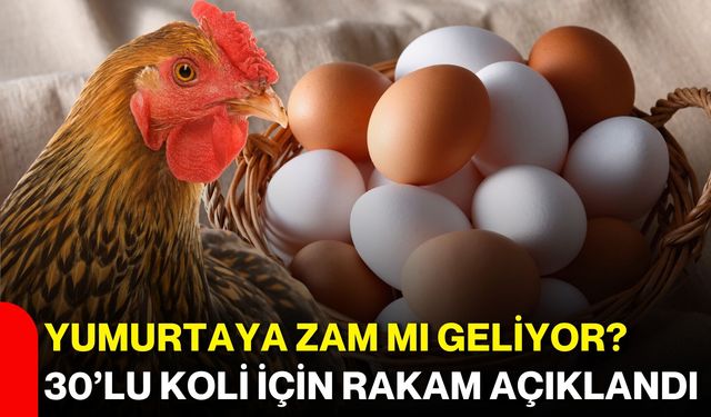 Yumurtaya zam mı geliyor? 30’lu koli için rakam açıklandı