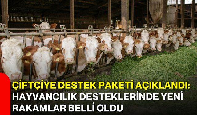 Çiftçiye destek paketi açıklandı: Hayvancılık desteklerinde yeni rakamlar belli oldu