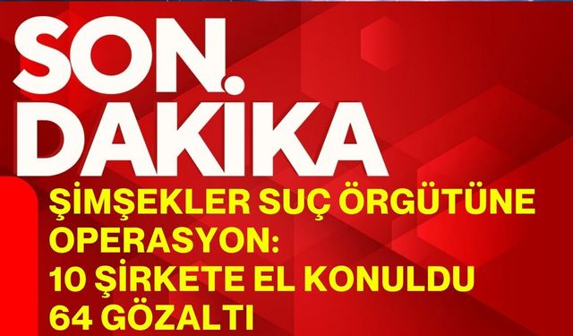 Şimşekler suç örgütüne operasyon: 10 şirkete el konuldu, 64 gözaltı