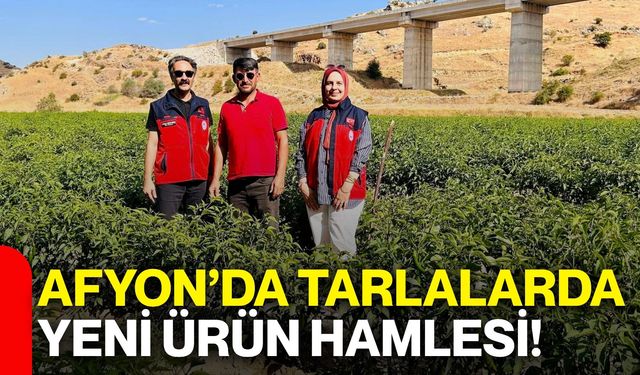 Afyon’da tarlalarda yeni ürün hamlesi!