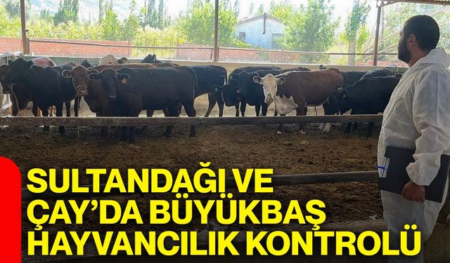 Sultandağı ve Çay’da büyükbaş hayvancılık kontrolü