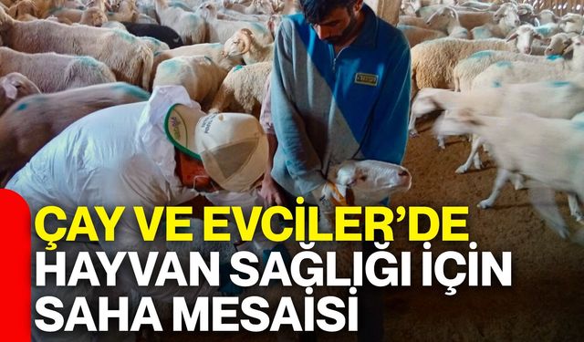 Çay ve Evciler’de hayvan sağlığı için saha mesaisi
