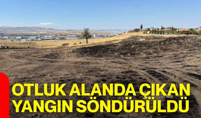Otluk alanda çıkan yangın söndürüldü