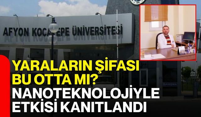 Yaraların şifası bu otta mı? Nanoteknolojiyle etkisi kanıtlandı