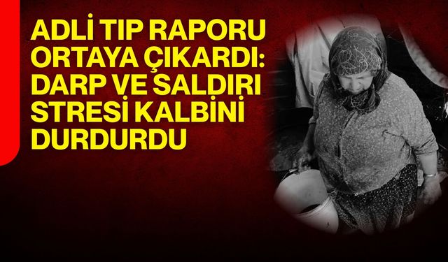 Adli tıp raporu ortaya çıkardı: Darp ve saldırı stresi kalbini durdurdu