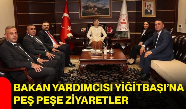 Bakan Yardımcısı Yiğitbaşı’na peş peşe ziyaretler