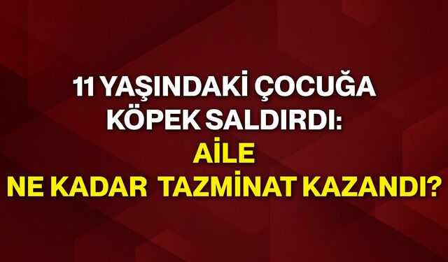 11 yaşındaki çocuğa köpek saldırdı: Aile ne kadar tazminat kazandı?