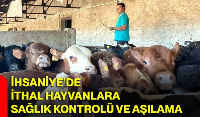 İhsaniye’de ithal hayvanlara sağlık kontrolü ve aşılama