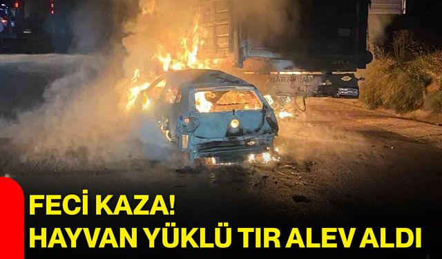 Feci kaza! Hayvan yüklü tır alev aldı