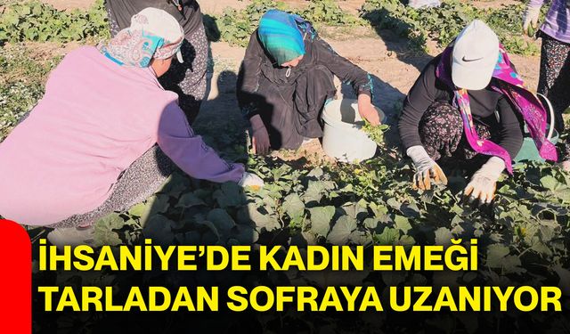 İhsaniye’de kadın emeği tarladan sofraya uzanıyor
