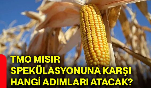 TMO mısır spekülasyonuna karşı hangi adımları atacak?