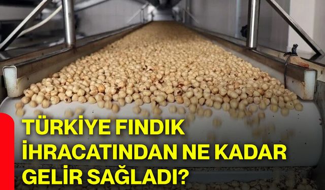 Türkiye fındık ihracatından ne kadar gelir sağladı?