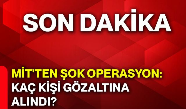 MİT'ten şok operasyon: Kaç kişi gözaltına alındı?